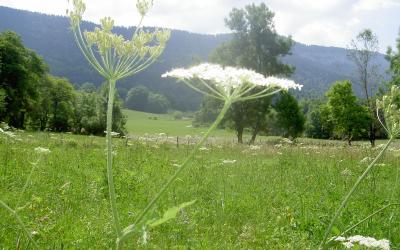 Maison 2u00a0Chambres Maison 2u00a0Chambres