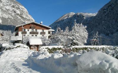 Camera Matrimoniale/Doppia con Letti Singoli