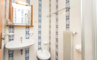 Camera Classic Matrimoniale/Doppia con Letti Singoli 