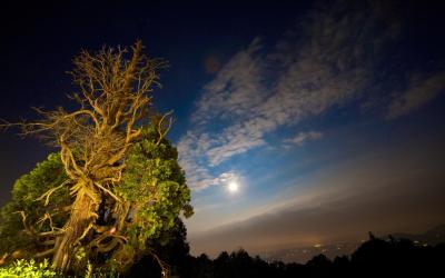 Appartamento con 1 Camera da Letto (2 Adulti) 