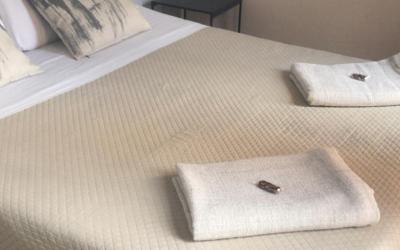 Camera Matrimoniale o Doppia con Letti Singoli con Terrazza in Comune