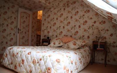 Suite Standard