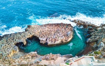 Appartamento - Piano Terra