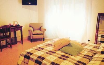 Camera King Standard