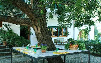 Villa con Piscina Privata 