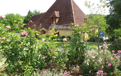 Maison de Vacances Maison de Vacances