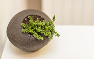 Chambre Double Supu00e9rieure - Vue sur Piscine