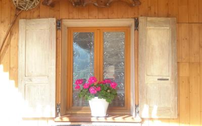 Studio avec Terrasse Studio avec Terrasse