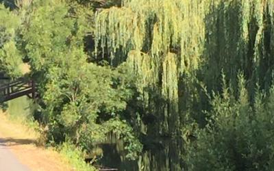 Chambre Double avec Salle de Bains Privative