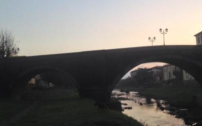 Appartamento con 1 Camera da Letto