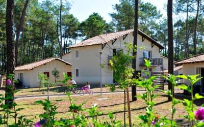 Appartement 1 Chambre Appartement 1 Chambre