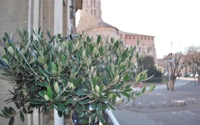 Chambre Double Confort Chambre Double Confort
