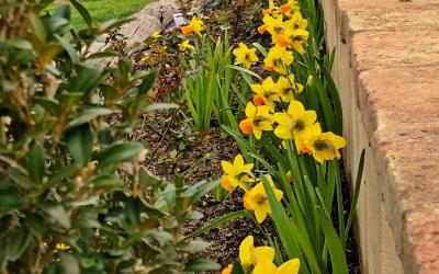 Camera Matrimoniale con Bagno Privato