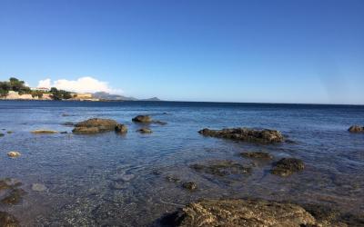 Appartement - Vue sur Jardin