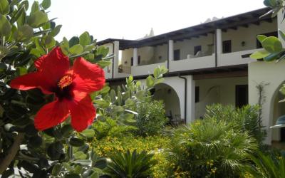 Camera Tripla Economy