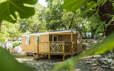 Mobile Home