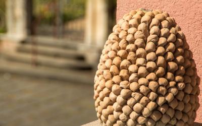 Appartamento Standard