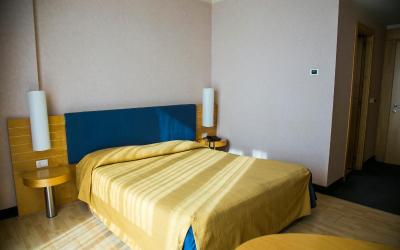 Camera Matrimoniale Standard ad Uso Singola