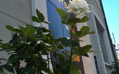 Camera Deluxe Matrimoniale/Doppia con Letti Singoli