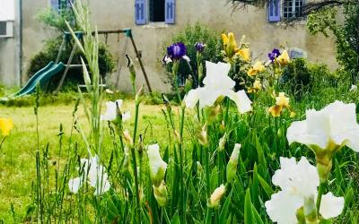 Studio avec Vue sur Jardin Studio avec Vue sur Jardin