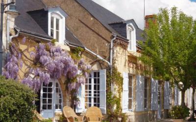 Studio avec Terrasse (2 Adultes)