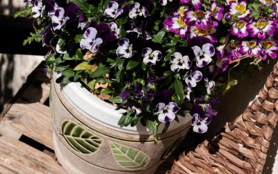 Appartamento con Vista Montagna