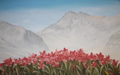 Camera Matrimoniale con Vista Montagna