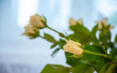 Suite Familiare Deluxe