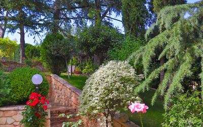 Appartamento - Piano Terra - Lato Destro