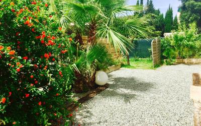 Appartement - Rez-de-Chaussu00e9e Appartement - Rez-de-Chaussu00e9e