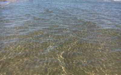 Appartamento con 1 Camera da Letto e Vista Mare 