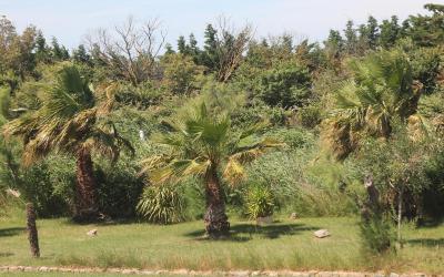 Chambre Double Classique Chambre Double Classique