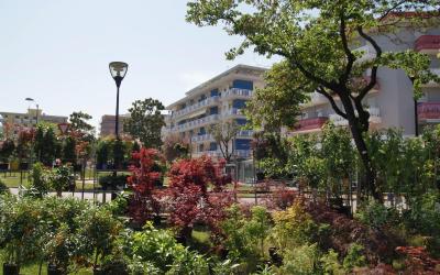 Appartamento con 1 Camera da Letto