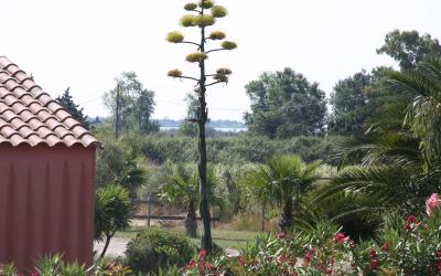 Appartement - Rez-de-Chaussu00e9e