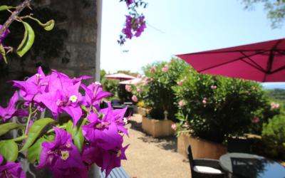 Chambre Familiale - Vue sur Jardin