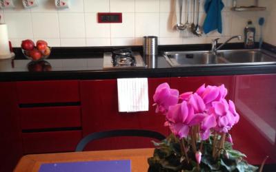 Appartamento con 1 Camera da Letto