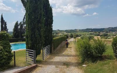 Appartamento con 1 Camera da Letto e Balcone in Comune