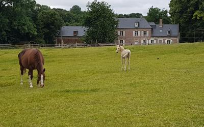 Chambre Double - Vue sur Jardin