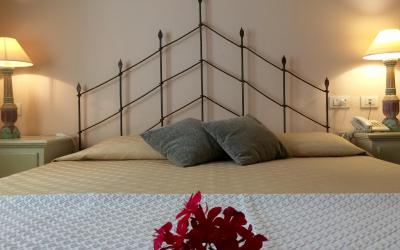 Camera Matrimoniale/Doppia con Letti Singoli