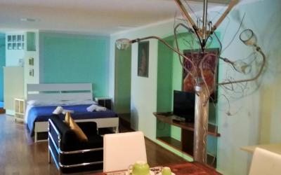 Appartamento con 1 Camera da Letto