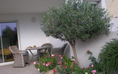Appartement Appartement