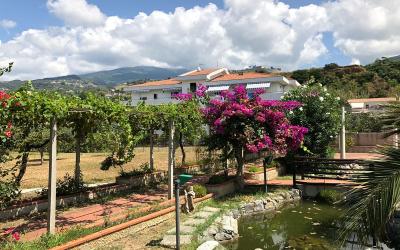 Appartamento con Vista Mare