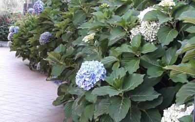 Casa con 2 Camere da Letto