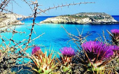 Appartamento con 1 Camera da Letto