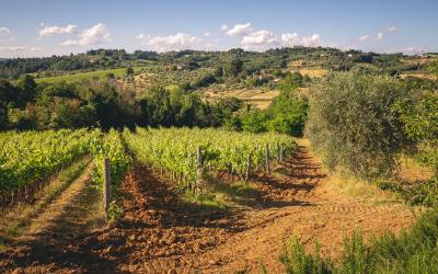 Monolocale con Vista Giardino