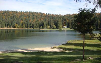 Studio Standard Studio Standard