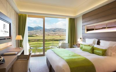 Chambre Double Supu00e9rieure avec Vue sur le Vignoble Chambre Double Supu00e9rieure avec Vue sur le Vignoble