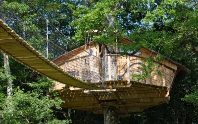 Cabane dans les Arbres Standard (2 Personnes) Cabane dans les Arbres Standard (2 Personnes)