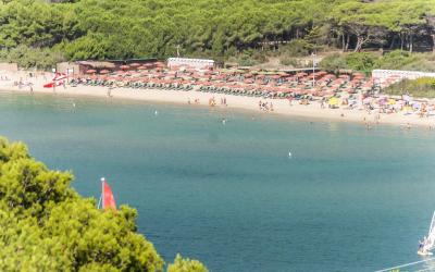 Appartamento con 1 Camera da Letto