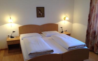 Camera Matrimoniale/Doppia con Letti Singoli con Doccia